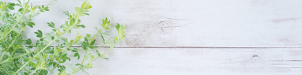 プライバシーポリシー